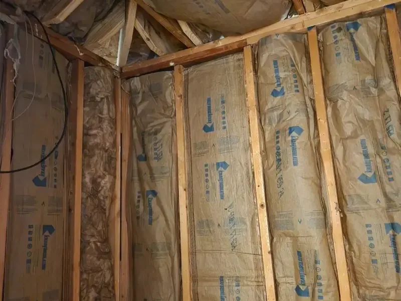 Exposed wood framing and insulation after wall covering removal
