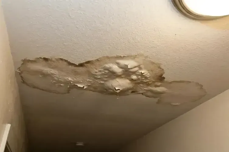 Water-stained ceiling with bubbling and peeling drywall