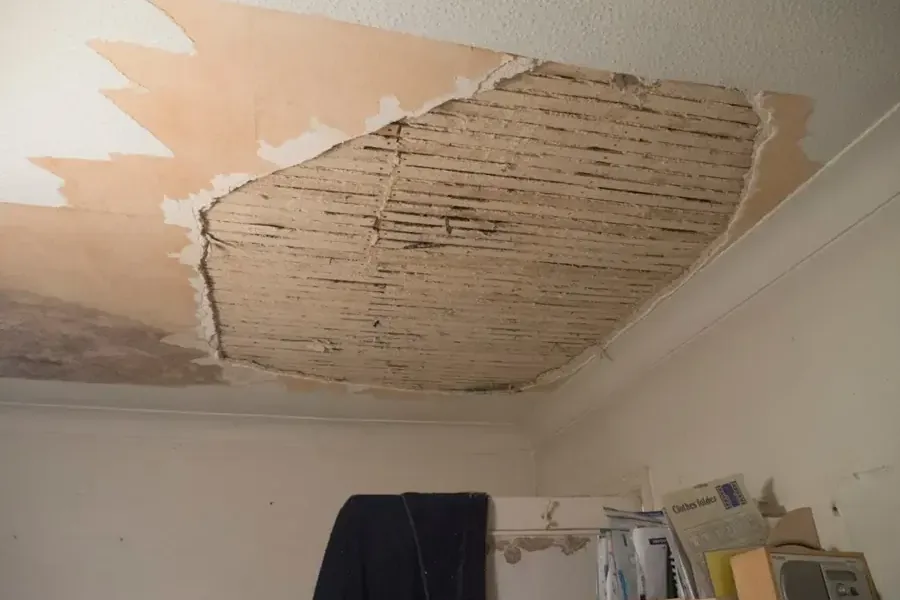 Damaged ceiling plaster with exposed wood lath and peeling paint