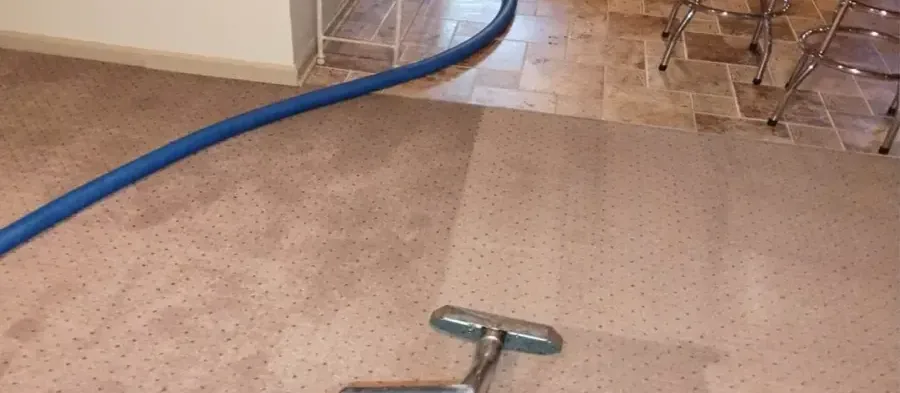Extraction wand and hose removing water from carpet